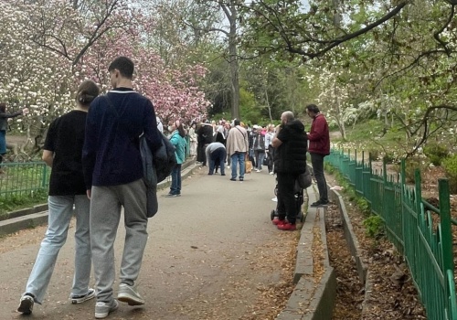 Czy w czasie wojny można chodzić do parku?