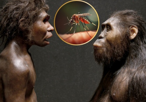 Komary nie zawsze atakowały ludzi. Oto dlaczego zaczęły nas gryźć