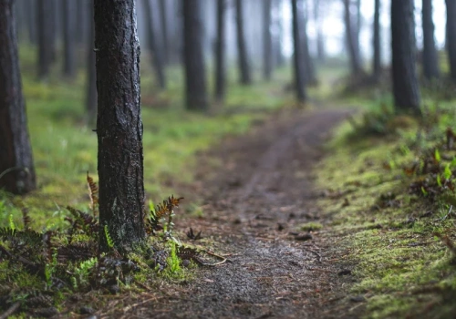 Planujesz dziś wyjść w góry? Warunki na szlakach mocno cię zaskoczą