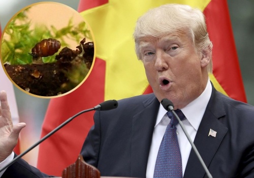 Trump miał konflikt, o którym mało kto wie. Poszło o małego ślimaka