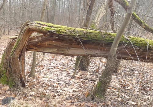 Przejście przez źródło Siarczanej