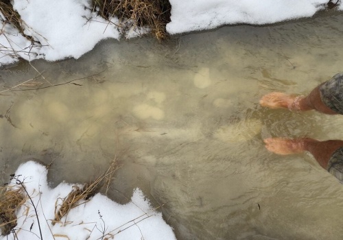 Czy po mroźnej zimie nadejdzie susza?