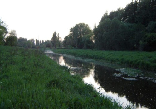 Operacja Czysta Rzeka 2026 startuje w Częstochowie — sprzątamy Stradomkę