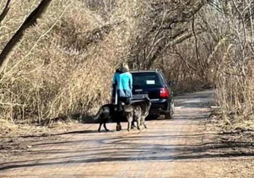 Nerwowo na Sadybie. Gdy ich psy się pogryzły, zasugerowała jej... wizytę u psychiatry