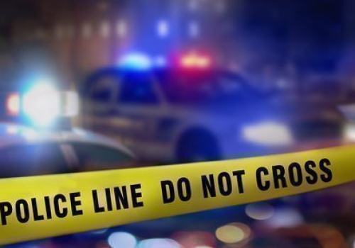 Morderca kobiety z Elk Grove Village schwytany