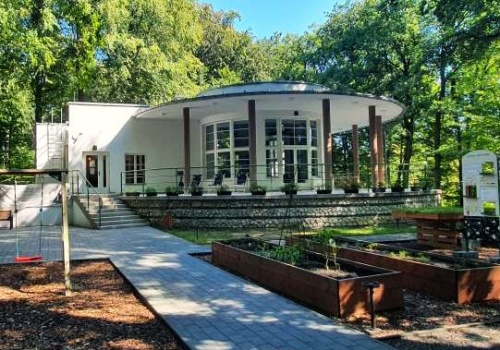 „Symbioza” świętuje 6. urodziny. Leśne spacery, warsztaty i wyprawa na Kopiec Piłsudskiego