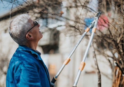 Pielęgnacja trawnika i rabat w marcu. Jak obudzić ogród po zimie?