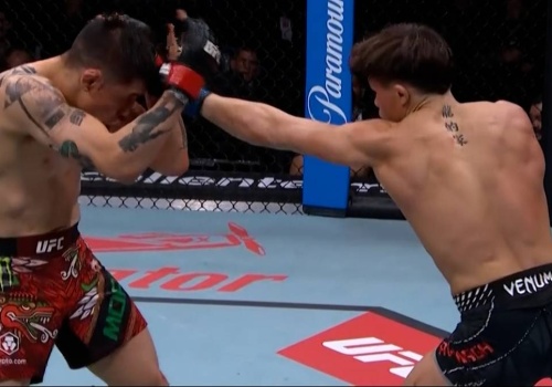 UFC Fight Night 268: Wyniki i skróty walk