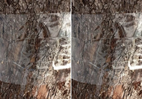 Załóż opaski zanim ruszą szkodniki. Prosty trik bez chemii