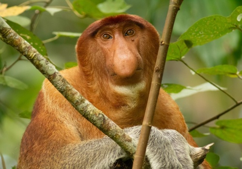 Za darmo to uczciwa cena. Oferta na darmowe gry PC w marcu