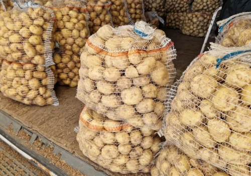 Młode ziemniaki z Egiptu po 3 zł/kg. Rosnąca konkurencja na Broniszach wywiera presję na ceny