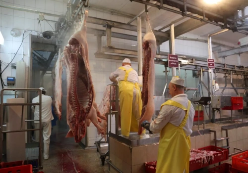 AI w ubojni zamiast człowieka. Nowy system oceni tuszę w 3 sekundy