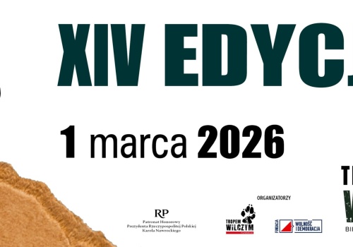 Już dzisiaj – Bieg Tropem Wilczym 2026, największy bieg pamięci Żołnierzy Wyklętych