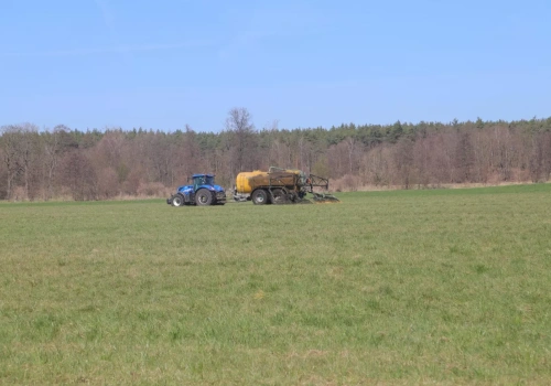 Kiedy nawozić łąkę? Terminy, dawki i błędy, przez które tracisz plon
