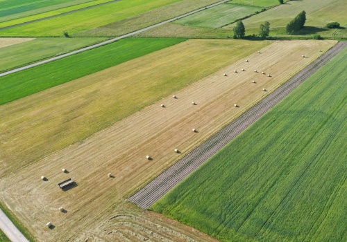 Dopłaty 2025 przyspieszają. Kto dostał pieniądze jako pierwszy?
