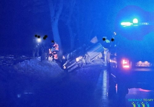 Tragiczny wypadek na DW 480 za zjazdem na Bogumiłów