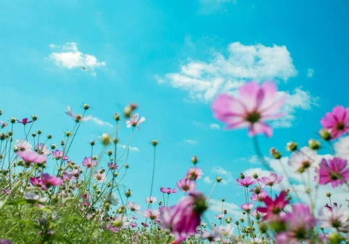 Długoterminowa prognoza dla Polski. Taki będzie marzec. Synoptyk opracował nowy model