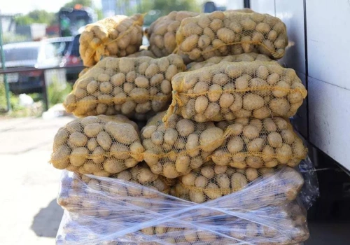 Blisko 180 tys. ton ziemniaków trafiło do Polski. Kto kontroluje niemal 60% importu?