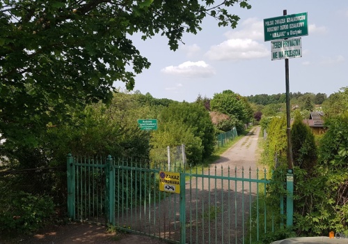 „Cenna enklawa zieleni” w strefie usługowej? Działkowcy z ROD „Kormoran” apelują do radnych