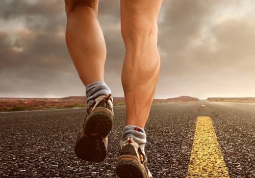 Intersport miał 5,3 mln zł straty netto, 0,73 mln zł zysku EBITDA w III kw. r.obr. 2025/26