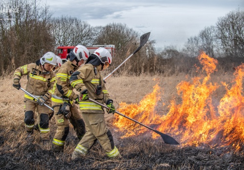 Rozległy pożar traw w Jędrzychowie