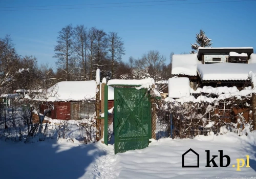 Tego nie wolno robić zimą na działce. Grozi nawet utrata ROD