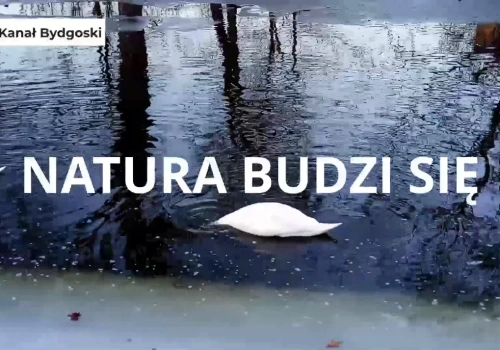 Nad kanałem widzieliśmy połączenie wiosny z zimą