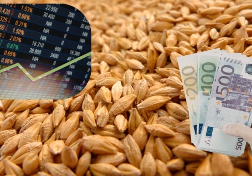 Ceny pszenicy, rzepaku i kukurydzy rosną. Wojna winduje ropę i notowania na MATIF