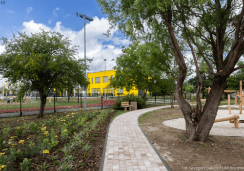 Rusza drugi etap zagospodarowania parku przy ul. Jachowicza. Będą kolejne atrakcje