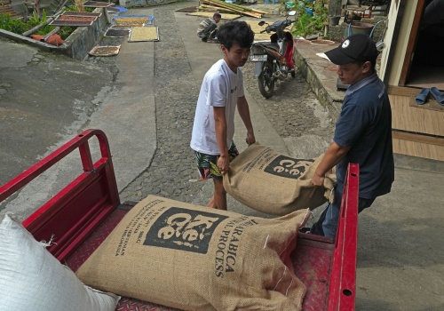 Zmiany klimatu uderzają w produkcję kawy. Raport pokazuje skalę problemu