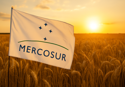 Copa-Cogeca: UE otwiera drzwi dla Mercosur. „Zapłacą za to europejscy producenci”