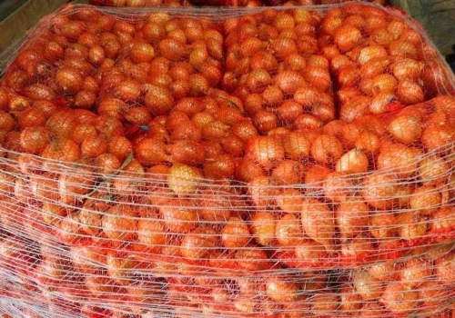 Import cebuli w 2025 roku. Skąd trafia najwięcej tego warzywa do Polski?