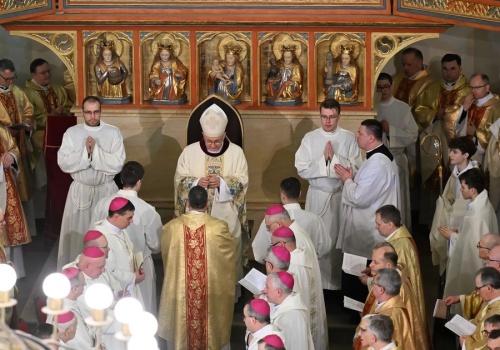 Ukarani za tuszowanie pedofilii biskupi brylowali na ingresie. 