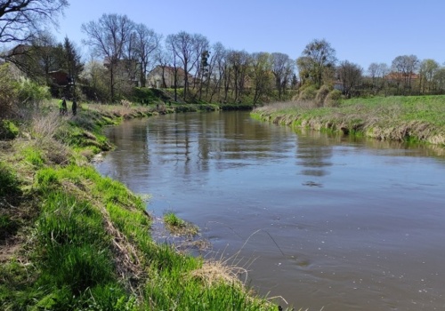 Olsztynianie wezmą sprawy w swoje ręce. Startuje Operacja Czysta Rzeka