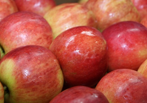 Eksport polskich jabłek do Brazylii czeka na decyzję