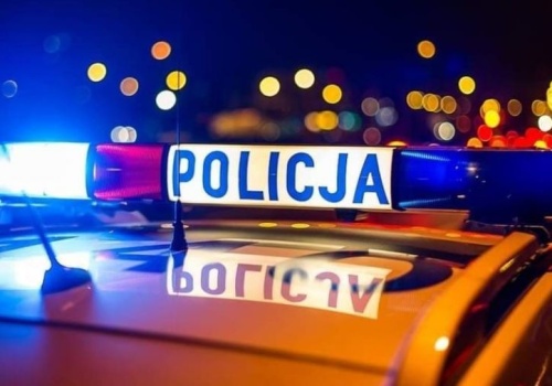 Brutalne pobicie kobiety w Kutnie. Zatrzymano 28-latka