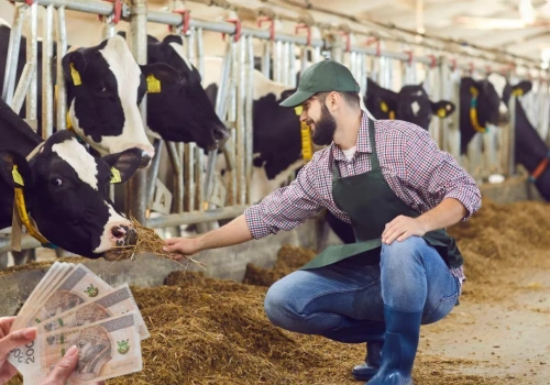 Rolnicy pod ścianą. Ceny skupu nie pokrywają kosztów, rząd odpowiada