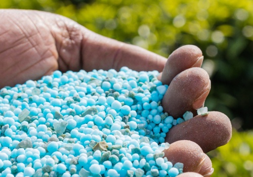 Grupa Azoty nie wstrzymała produkcji nawozów, a jedynie przyjmowanie nowych zamówień