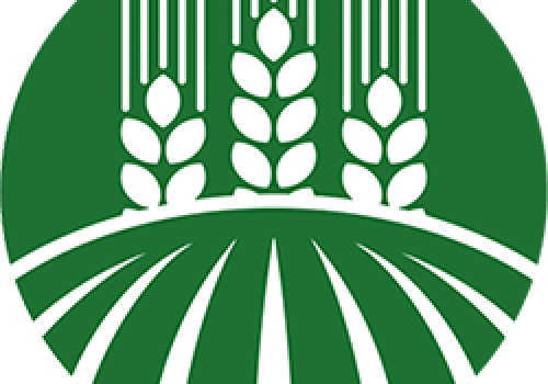 Rolnictwo regeneratywne: Inwestycja w glebę, która się zwraca