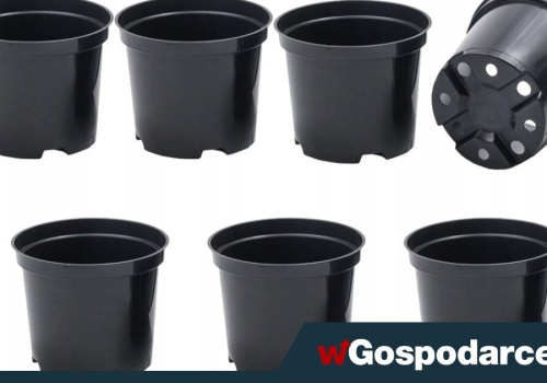 Unia zakaże plastikowych doniczek