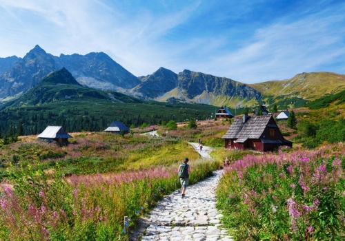 Alarm na Podhalu. Górale liczą dutki, ale jednej rzeczy się boją. 