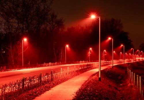 Miasta zaświecą na czerwono? Chodzi o zwierzęta i bezpieczeństwo