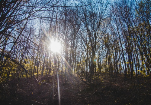 Wiosna rozgościła się w Łódzkiem na dobre. W środę nadal ciepło
