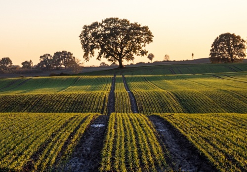 Bez zaplecza nie ma melioracji. KRIR chce państwowych gruntów dla spółek wodnych