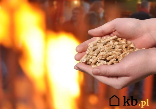 Przez ten nawyk przy czyszczeniu piece na pellet coraz częściej się psują