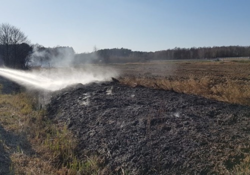 Płoną pierwsze trawy w tym sezonie. Strażacy ostrzegają: to nie sprzątanie, to igranie z ogniem