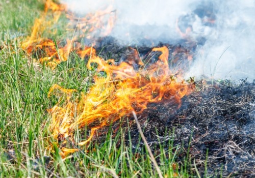 Pierwsze w tym roku wypalanie traw. Strażacy apelują o rozwagę i odpowiedzialność