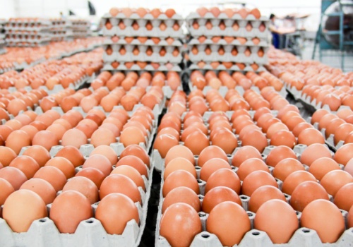 Miliard dolarów na jajka. Globalny gigant przyciąga potężny kapitał