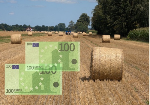 Dopłaty 2026 bez rewolucji, ale ze zmianami. Gdzie można zyskać najwięcej?