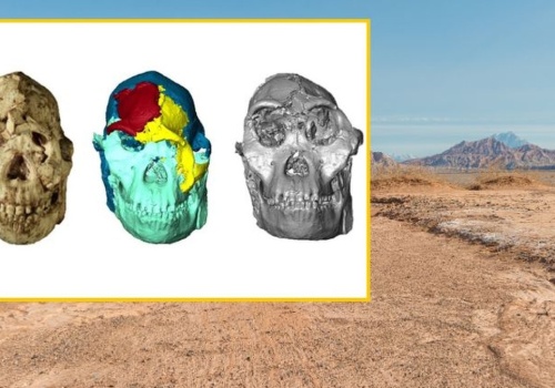 Oto oblicze jednego z najstarszych homininów. Poznaj naszego przodka 